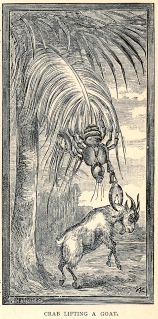 Illustration for article titled This gruesome 1889 biology book outlined the many ways animals will kill us
